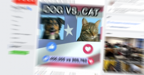 Voting bei Facebook über "Dog vs. Cats" durch das nutzen von einem Daumen oder einem Herz.